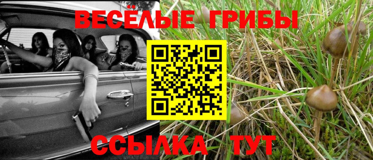 Галлюциногенные грибы прущие грибы Красный Сулин