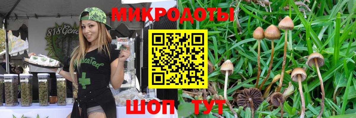 Красный Сулин  Галлюциногенные грибы MAGIC MUSHROOMS  Вход с VPN 